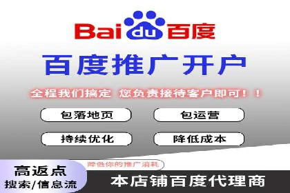 解析某某SEM服务公司的广告投放策略与效果评估